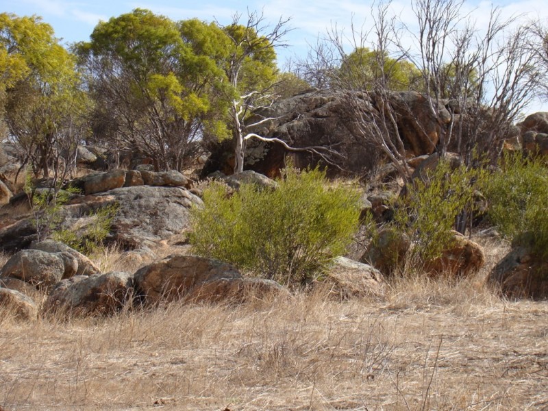 Lot 11 Geraldton-Mt Magnet Road, Wicherina WA 6532