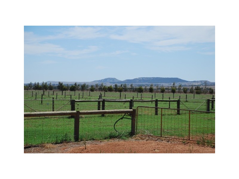 877 McCartney Road, Walkaway WA 6528