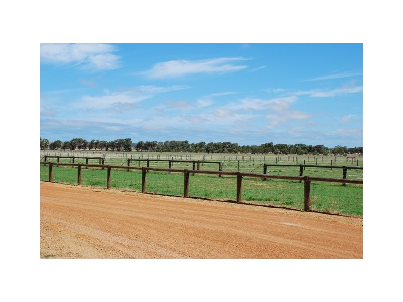 877 McCartney Road, Walkaway WA 6528