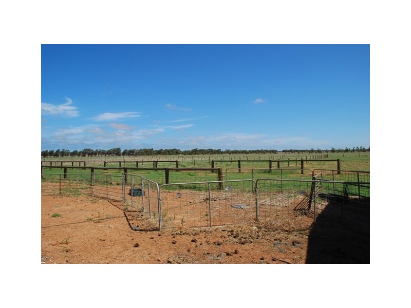 877 McCartney Road, Walkaway WA 6528