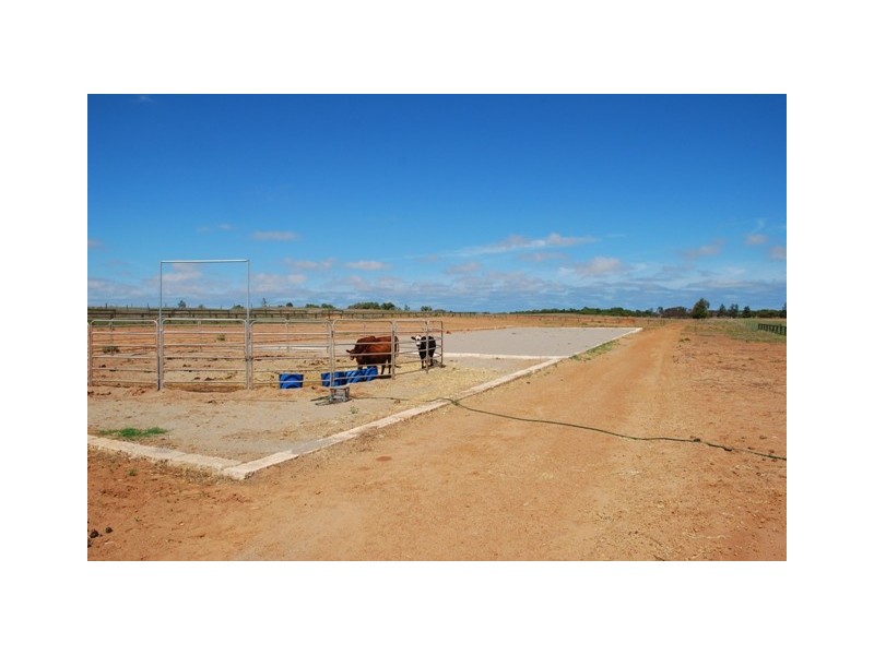 877 McCartney Road, Walkaway WA 6528