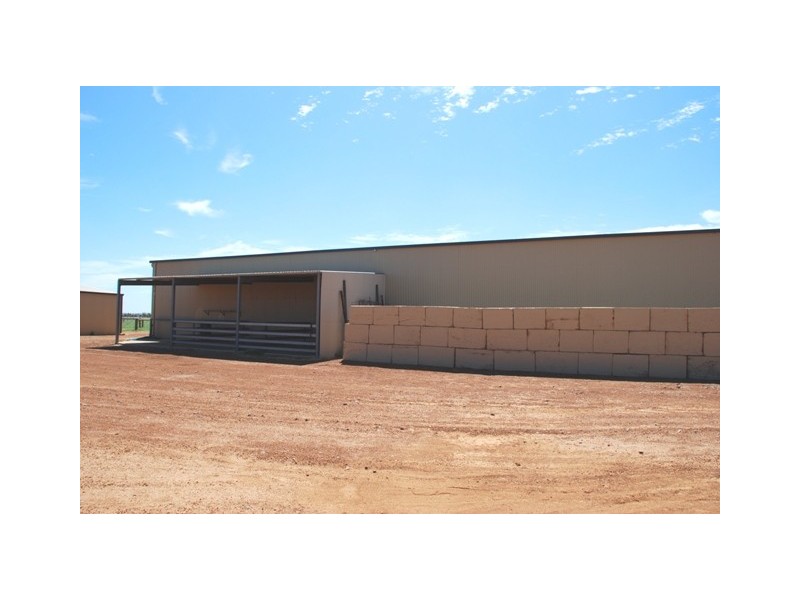 877 McCartney Road, Walkaway WA 6528