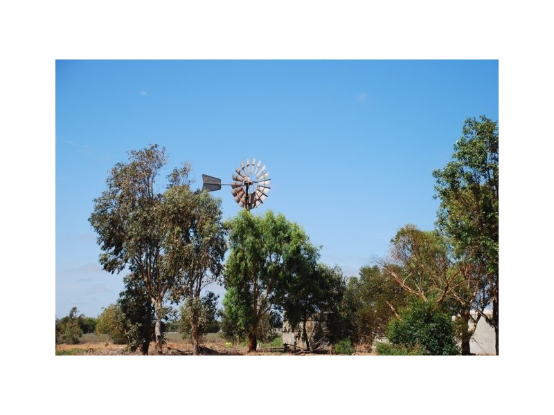 877 McCartney Road, Walkaway WA 6528