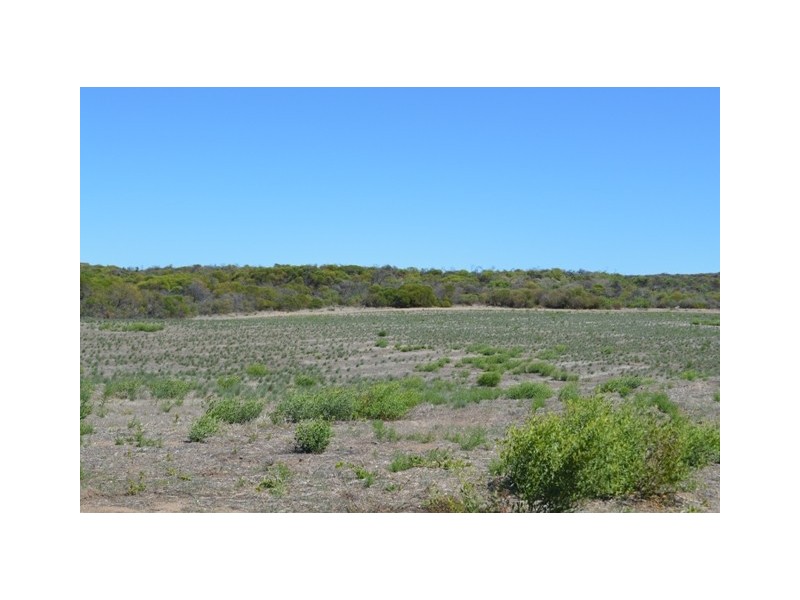 Lot 111 African Reef Blvd, Greenough WA 6532