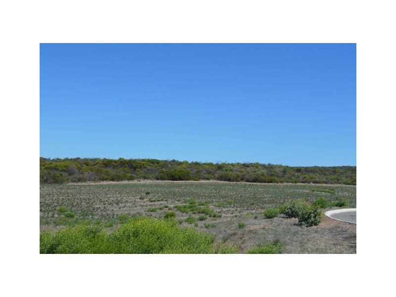 Lot 111 African Reef Blvd, Greenough WA 6532