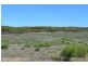 Lot 111 African Reef Blvd, Greenough WA 6532