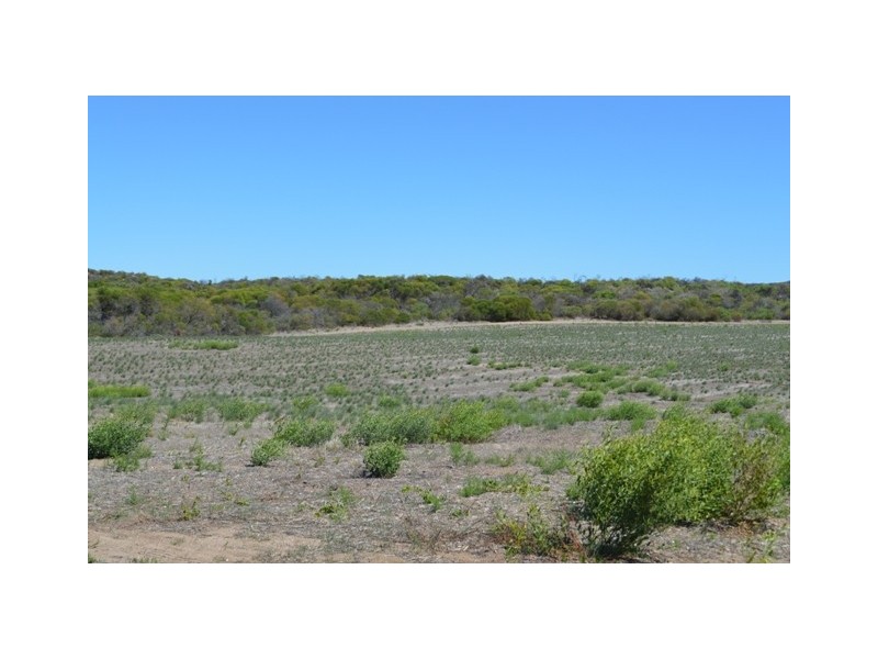 Lot 111 African Reef Blvd, Greenough WA 6532