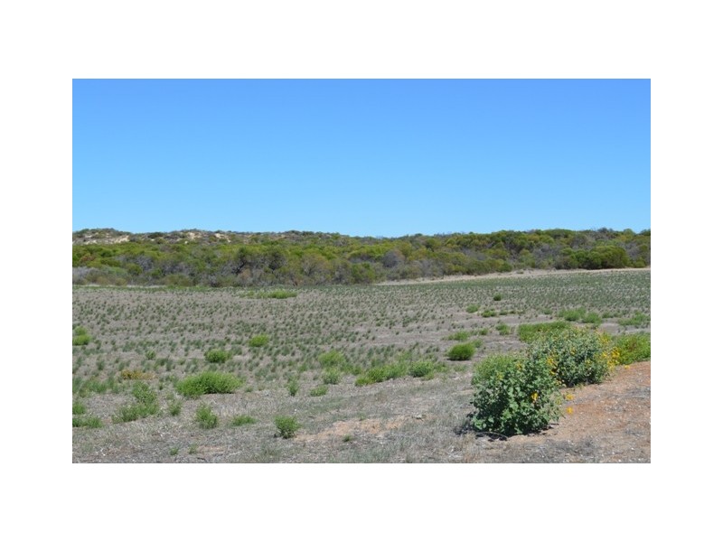 Lot 111 African Reef Blvd, Greenough WA 6532