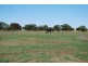 12 Hill River Way, Moonyoonooka WA 6532