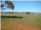 131 Williams Road, Mullewa WA 6630