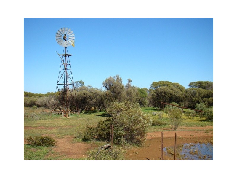 131 Williams Road, Mullewa WA 6630