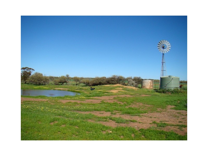 131 Williams Road, Mullewa WA 6630