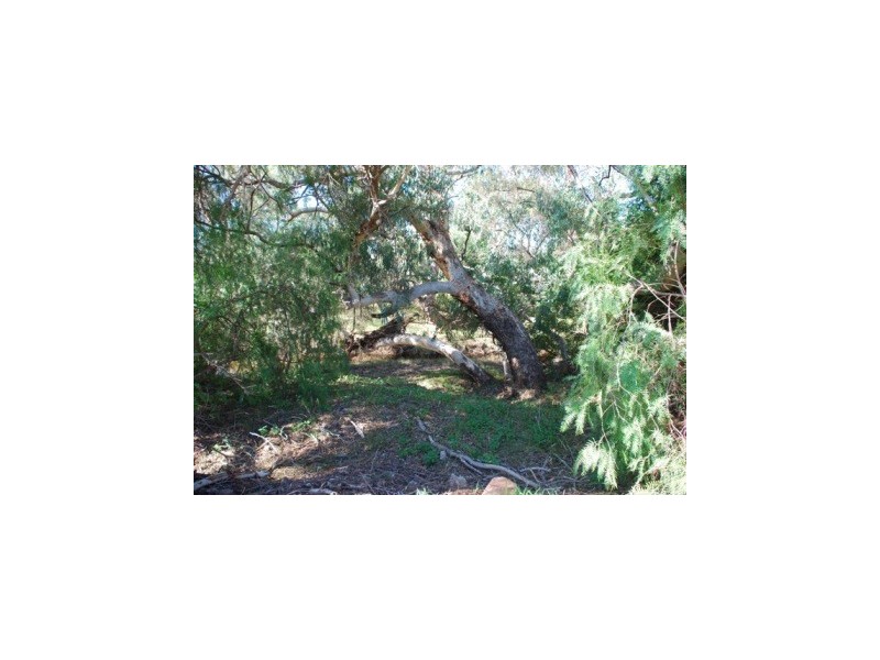 451 Old Nabawa Road, Nanson WA 6532