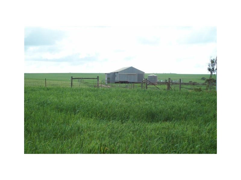 Lot 6803 Geraldton-Mt Magnet Road, Bringo WA 6532