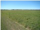 Lot 51-60 Allanooka Springs Rd, Mount Hill WA 6528