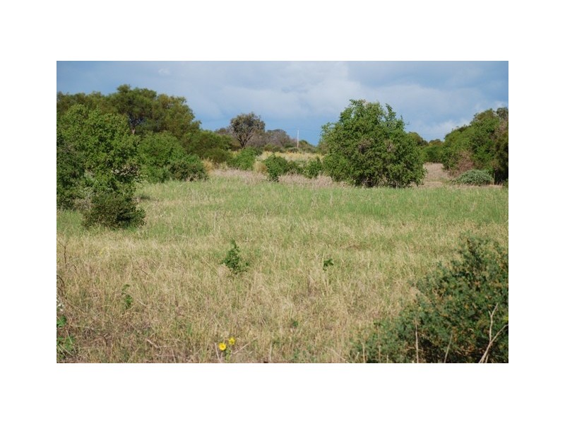 Lot 79 Collins Road, Waggrakine WA 6530