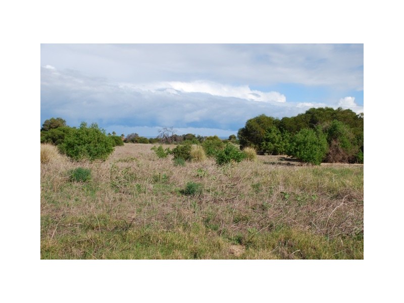 Lot 79 Collins Road, Waggrakine WA 6530