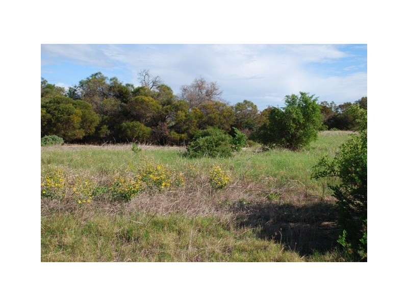 Lot 79 Collins Road, Waggrakine WA 6530