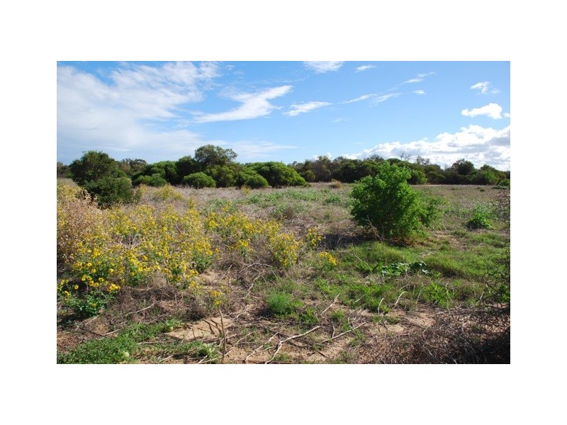 Lot 79 Collins Road, Waggrakine WA 6530