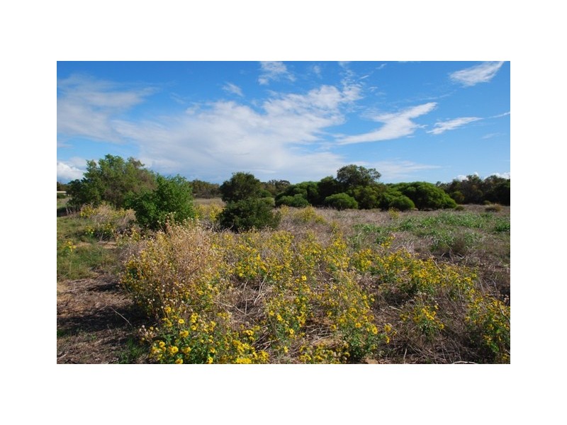 Lot 79 Collins Road, Waggrakine WA 6530