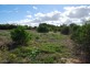 Lot 79 Collins Road, Waggrakine WA 6530