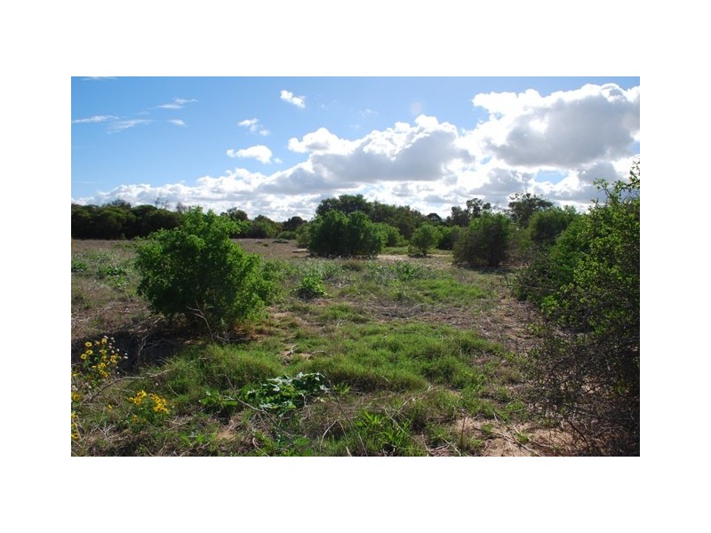 Lot 79 Collins Road, Waggrakine WA 6530