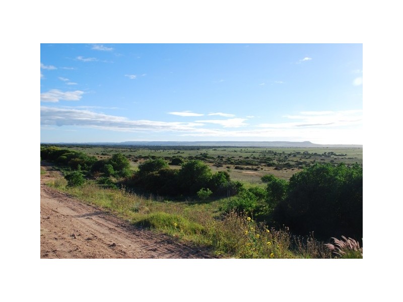 3 Sissy Lane, Wandina WA 6530