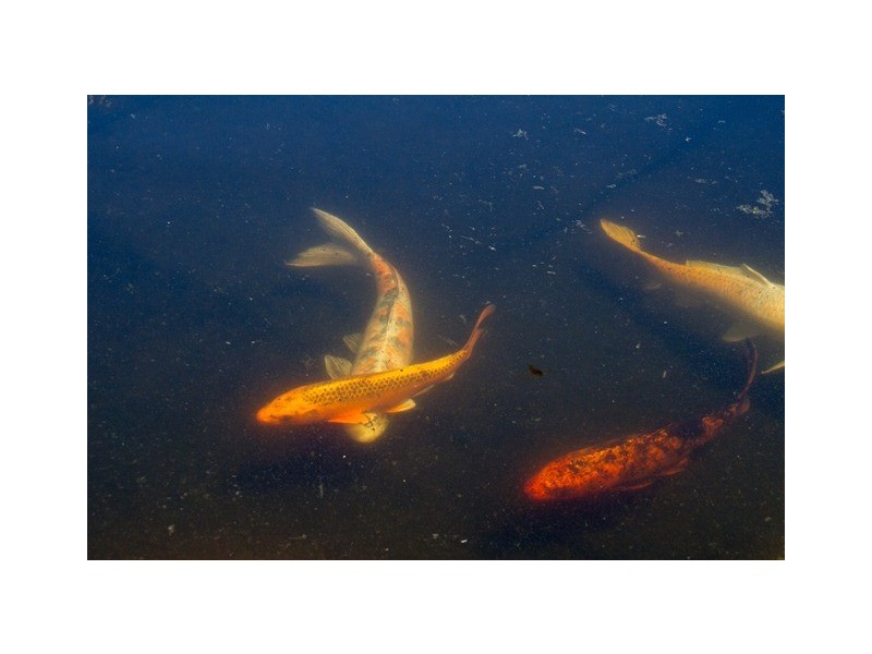 210 Nanson-Howatharra Road, Nanson WA 6532