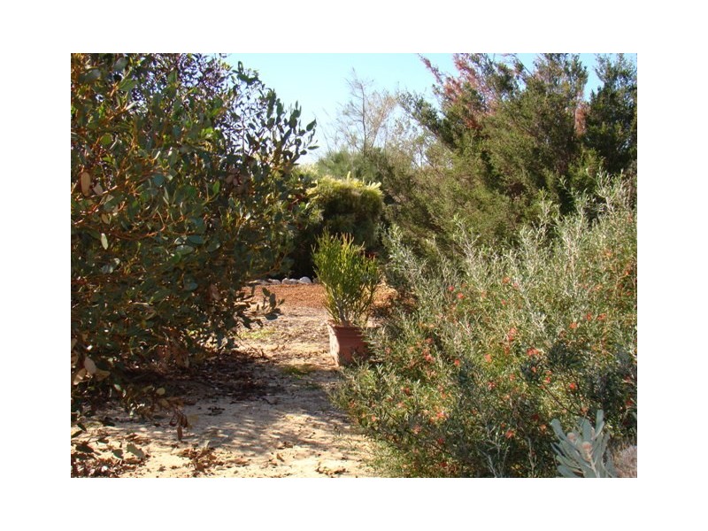 169 Bookara East Road, Dongara WA 6525