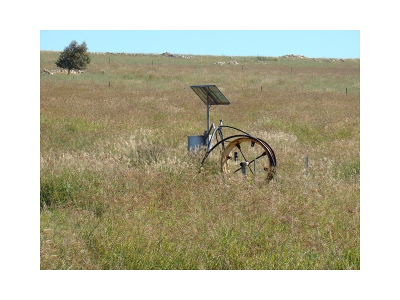 169 Bookara East Road, Dongara WA 6525