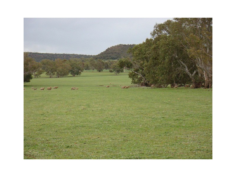 Lot 2 Murphy-Yetna Road, Nanson WA 6532