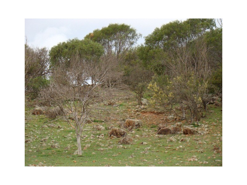 Lot 2 Murphy-Yetna Road, Nanson WA 6532