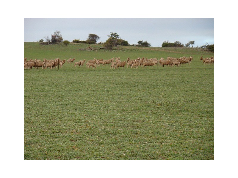 Lot 2 Murphy-Yetna Road, Nanson WA 6532