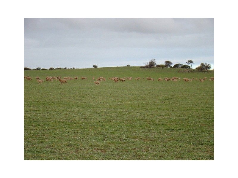 Lot 2 Murphy-Yetna Road, Nanson WA 6532