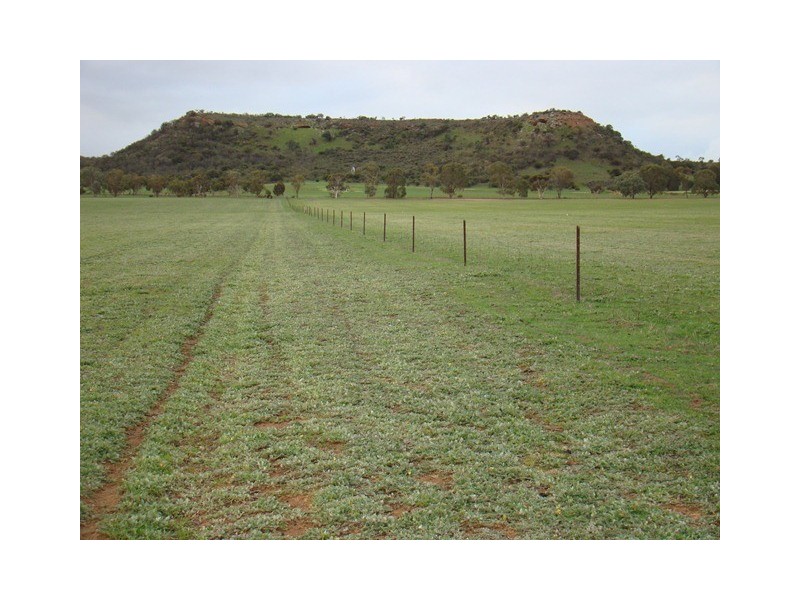 Lot 2 Murphy-Yetna Road, Nanson WA 6532