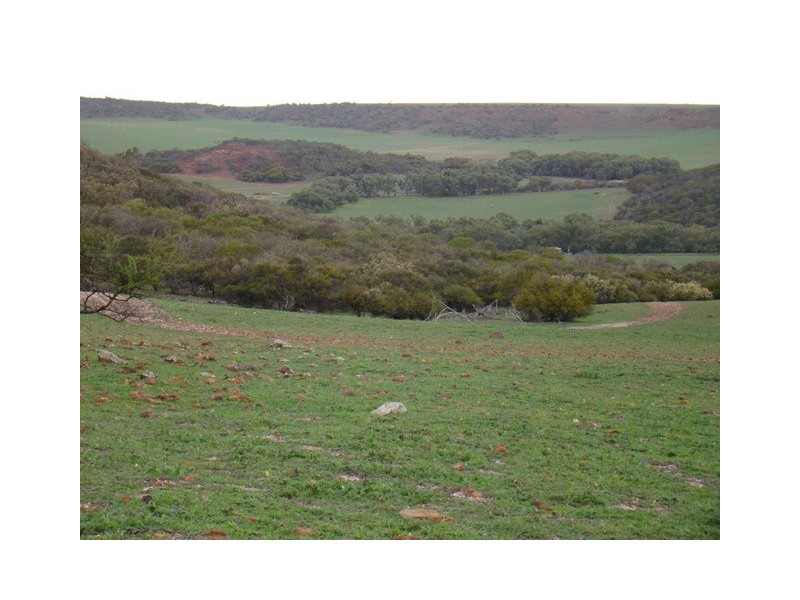 Lot 2 Murphy-Yetna Road, Nanson WA 6532