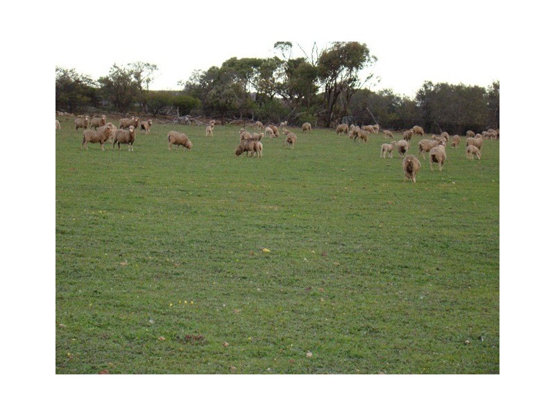 Lot 2 Murphy-Yetna Road, Nanson WA 6532