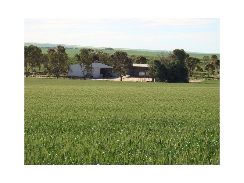 4890 Geraldton-Mt Magnet Rd, Ambania WA 6632