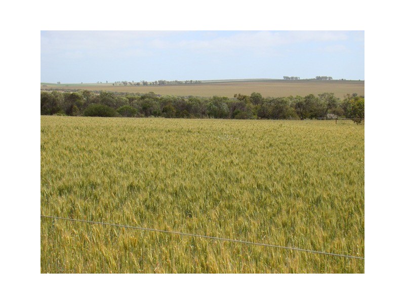 Lot 2 Ernest Street, Mingenew WA 6522