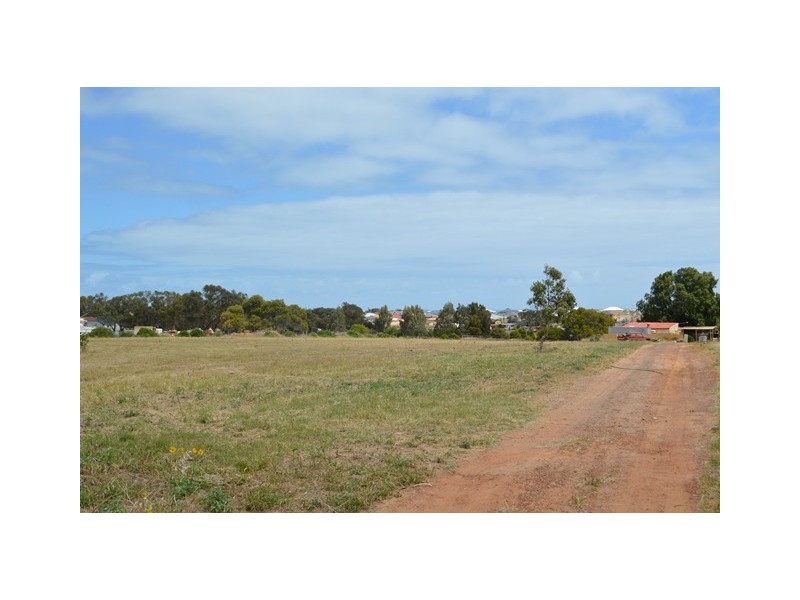 89 Alexander Drive, Glenfield WA 6532