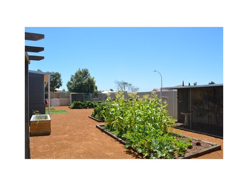 56 Tersonia Way, Strathalbyn WA 6530