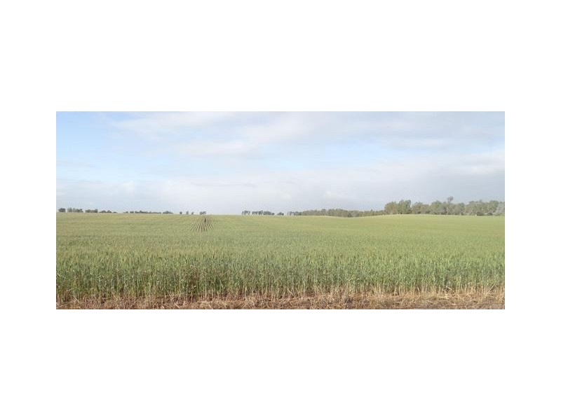 104/107/108 Ogilvie East Road, Ogilvie WA 6535