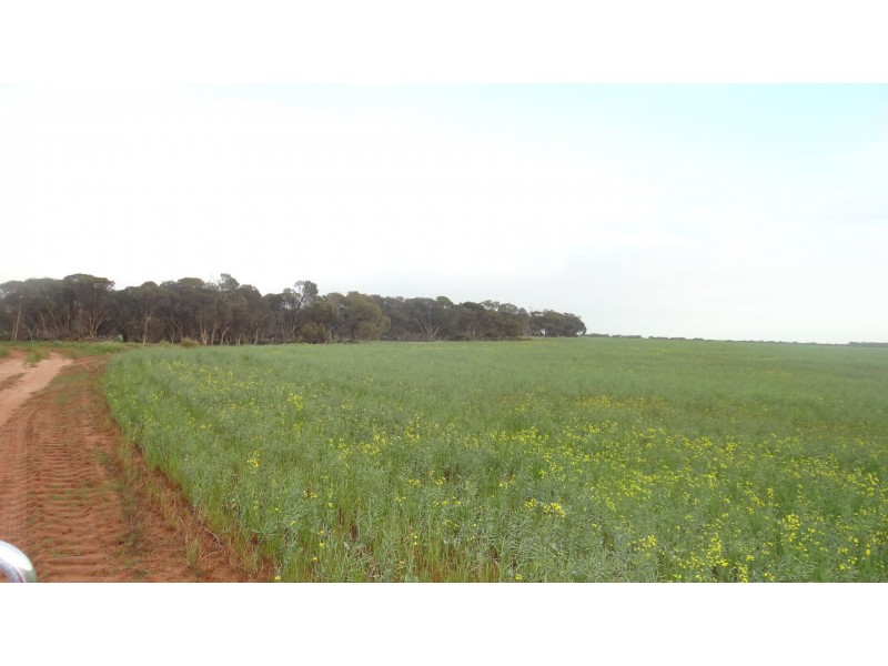 104/107/108 Ogilvie East Road, Ogilvie WA 6535