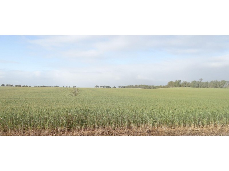 104/107/108 Ogilvie East Road, Ogilvie WA 6535