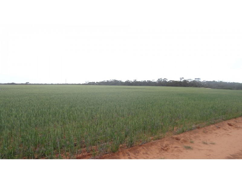 104/107/108 Ogilvie East Road, Ogilvie WA 6535