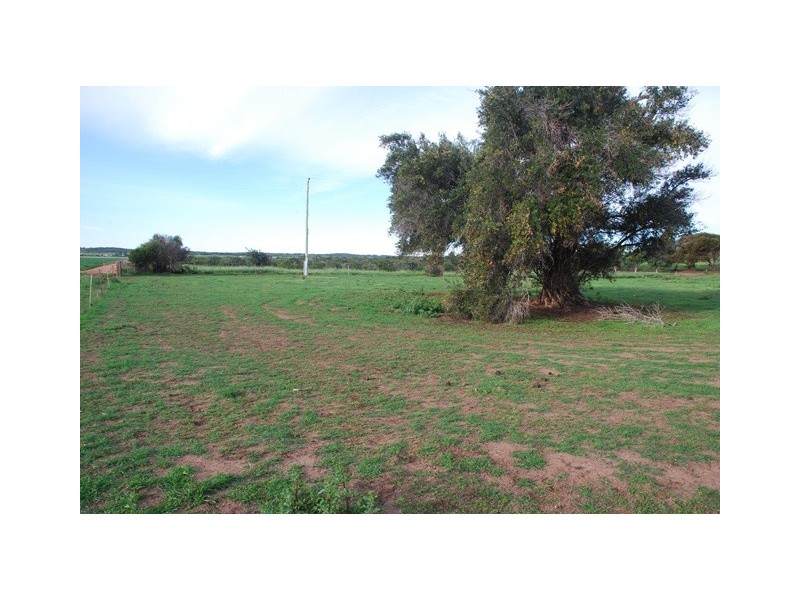 77 McCartney Road, Greenough WA 6532