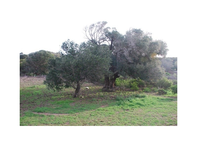 77 McCartney Road, Greenough WA 6532