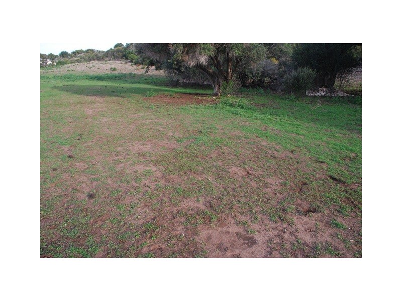 77 McCartney Road, Greenough WA 6532