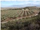 218 Bunter Way, Howatharra WA 6532