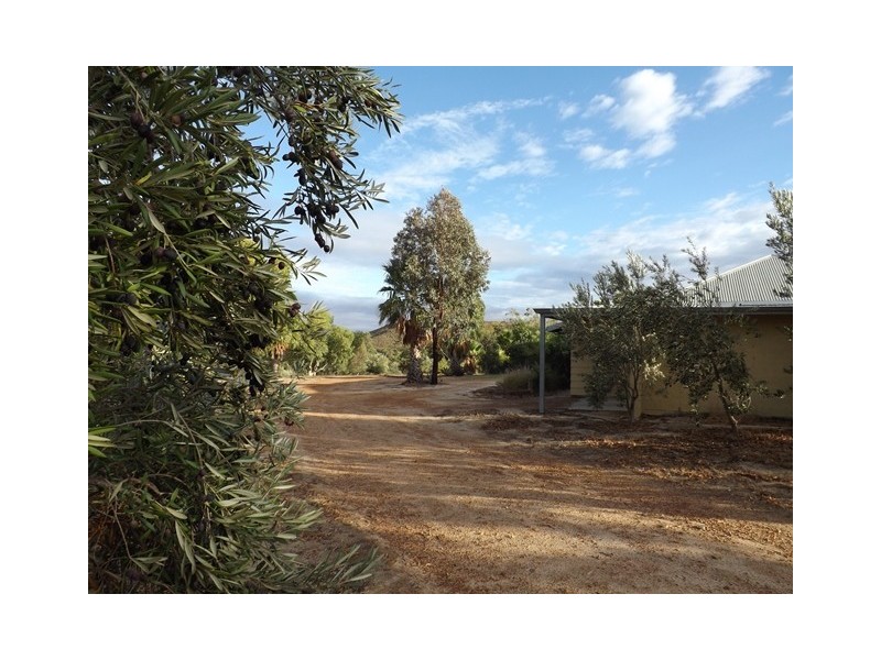 218 Bunter Way, Howatharra WA 6532